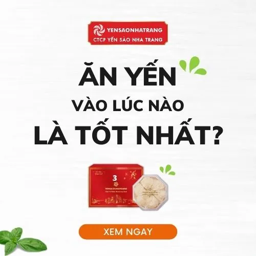 Ăn tổ yến vào lúc nào là tốt nhất?