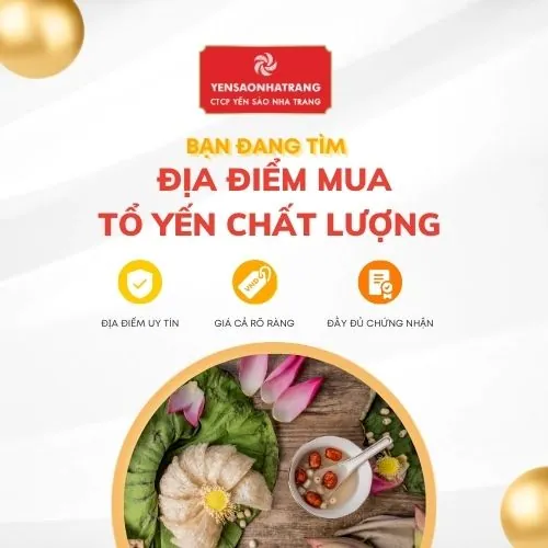 Bạn đang tìm mua tổ yến chất lượng ở những nơi uy tín
