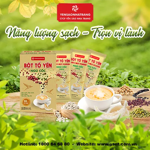 BỘT TỔ YẾN NGŨ CỐC – QUÀ TẶNG CỦA THIÊN NHIÊN