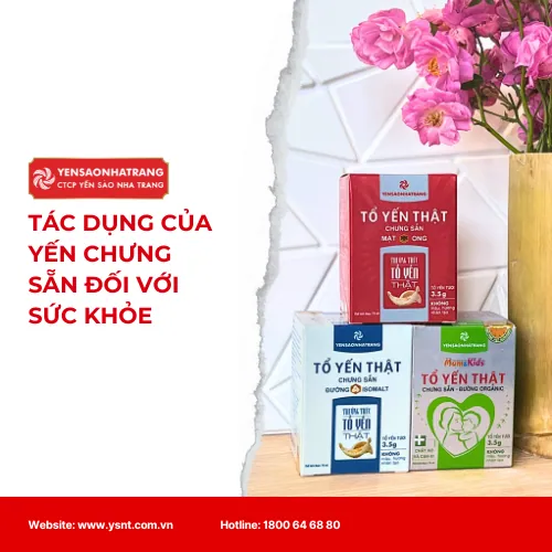BỮA XẾ NGON, TRÒN DINH DƯỠNG, SỮA CHUA SẤY KHÔ CÓ TỔ YẾN THẬT