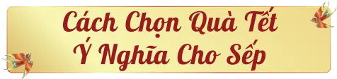 qua-tet-cho-sep