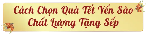 qua-tet-yen-sao