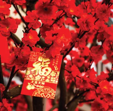 Cách chọn quà tết yến sào chất lượng để tặng sếp dịp Tết năm nay