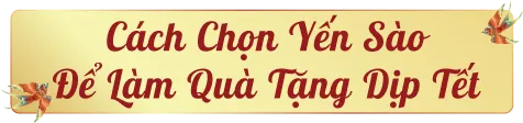 yen-sao-lam--qua-tang-tet