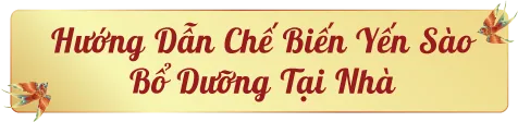 Hướng dẫn cách chế biến yến sào bổ dưỡng tại nhà