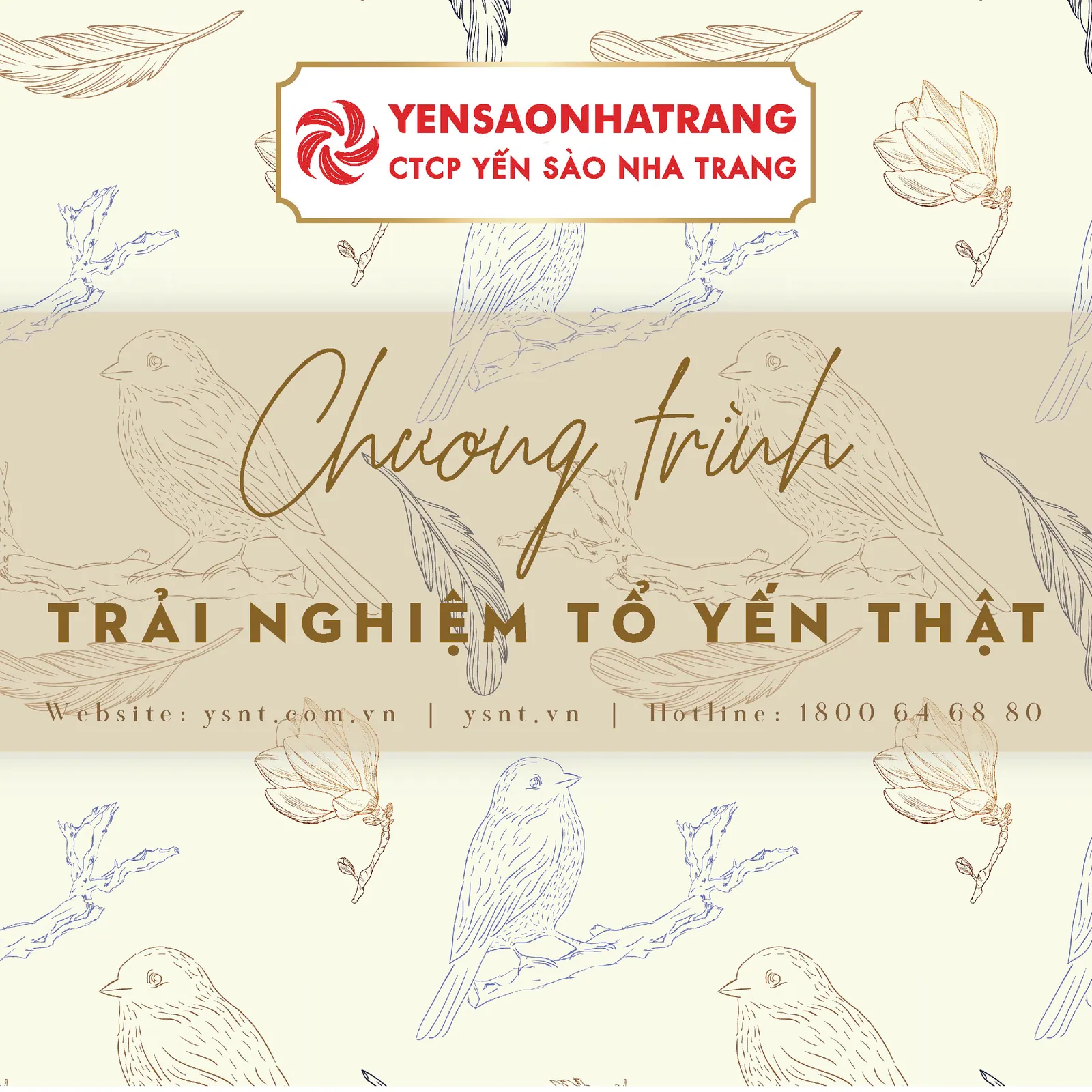 CHI TIẾT CHƯƠNG TRÌNH TRẢI NGHIỆM TỔ YẾN THẬT