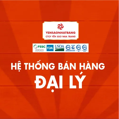 Hệ Thống Bán Hàng Kênh Đại Lý