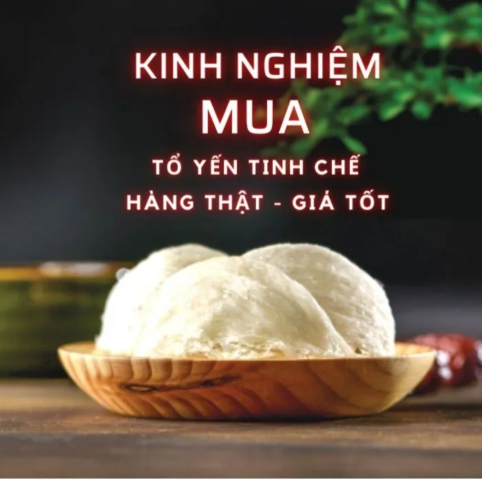 Kinh nghiệm mua tổ yến tinh chế hàng thật, giá tốt