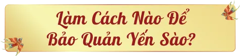 bao-quan-yen-sao