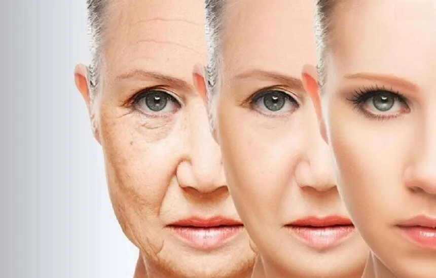 Lợi ích “Vàng” của Tổ Yến đối với phụ nữ