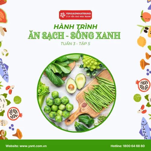[TUẦN 3 – TẬP 5] LỐI SỐNG XANH, SỨC KHỎE TOÀN DIỆN