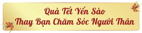qua-tet-yen-sao