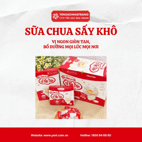 SỮA CHUA KHÔ – VỊ NGON GIÒN TAN, BỔ DƯỠNG MỌI LÚC MỌI NƠI