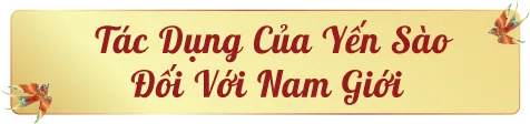 tac-dung-yen-sao