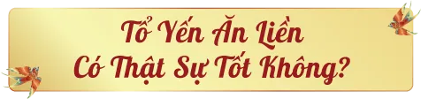 an-to-yen-an-lien