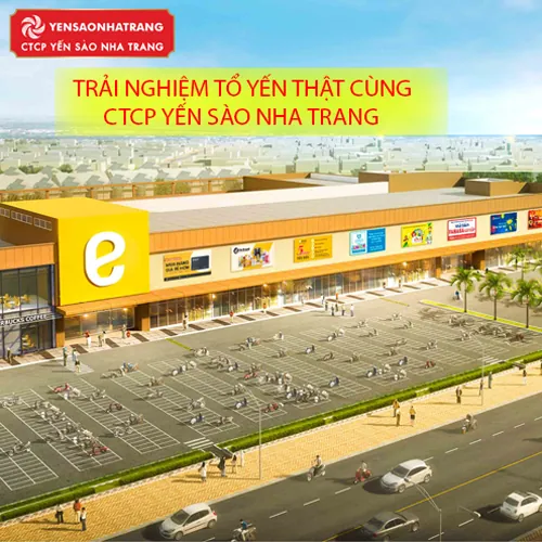 TRẢI NGHIỆM TỔ YẾN THẬT CÙNG CTCP YẾN SÀO NHA TRANG